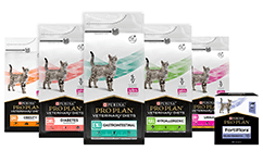 Veterinární diety pro kočky a související produkty