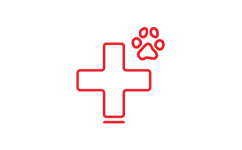Jsem veterinární sestra