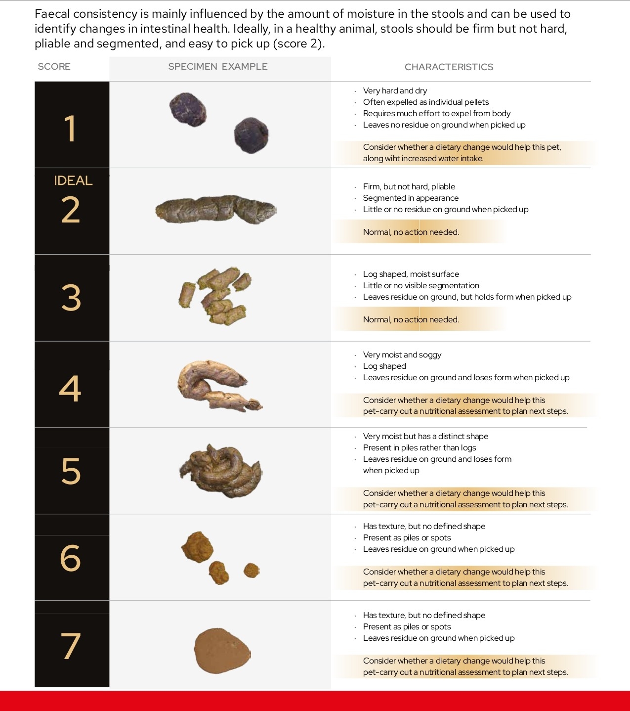 Faecal Score Chart