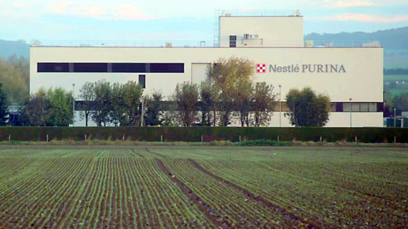 Nadšení pro výživu | Seznamte se se společností PURINA