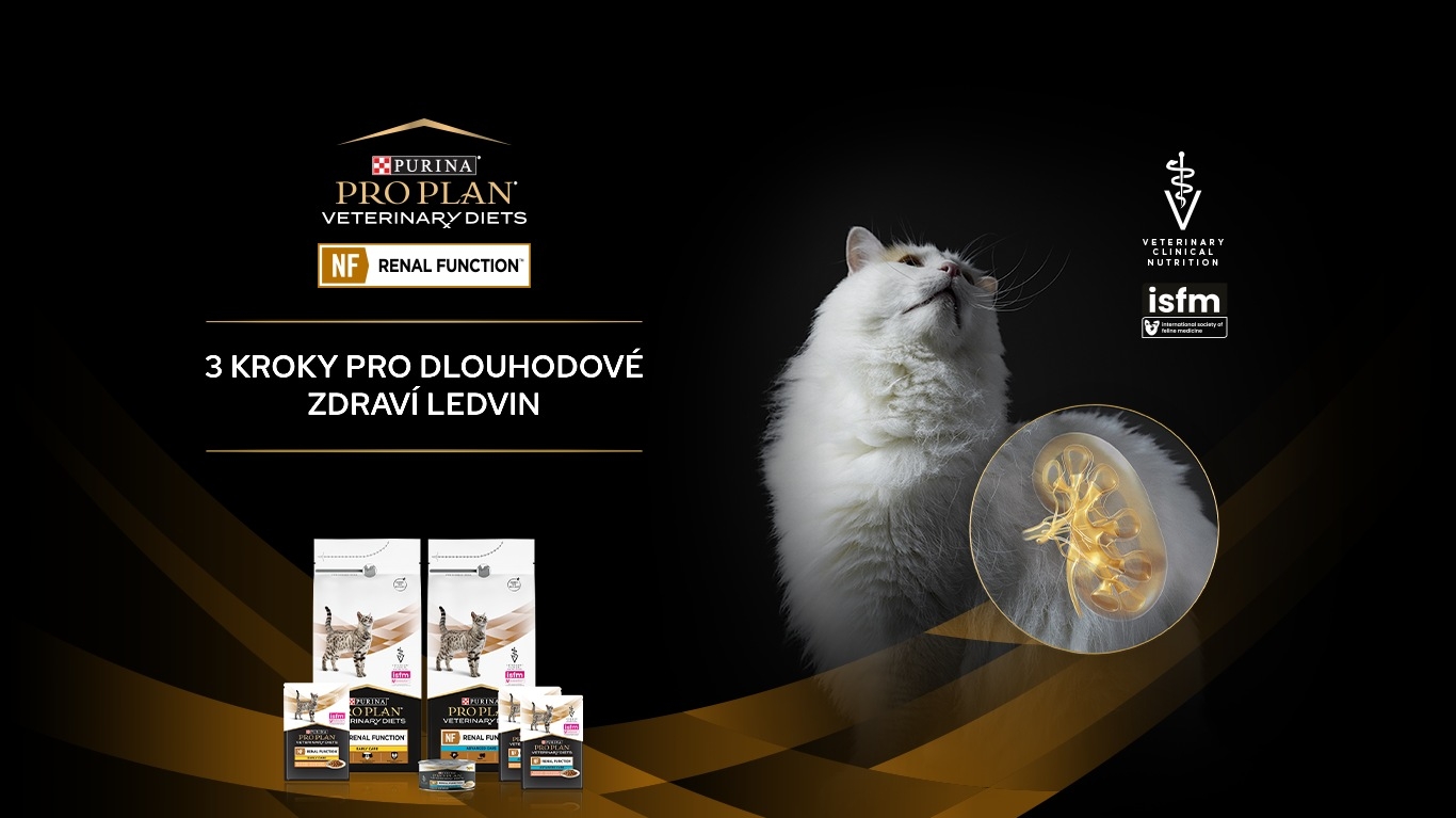 Propagační banner s bílou kočkou představující dostupné veterinární diety Pro Plan pro NF renální funkce.