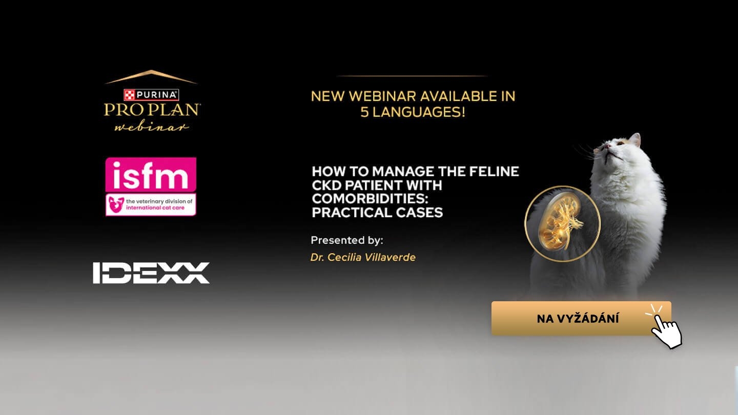 Podívejte se na záznam webináře “How to manage the CKD patient with Comorbidities"