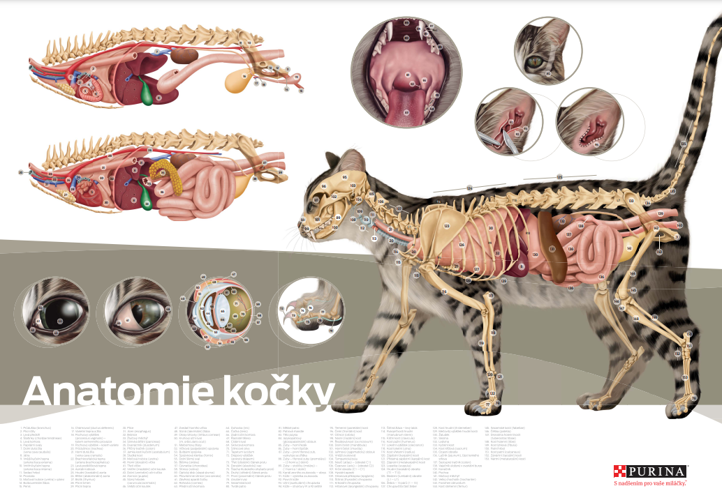 Practical tools image