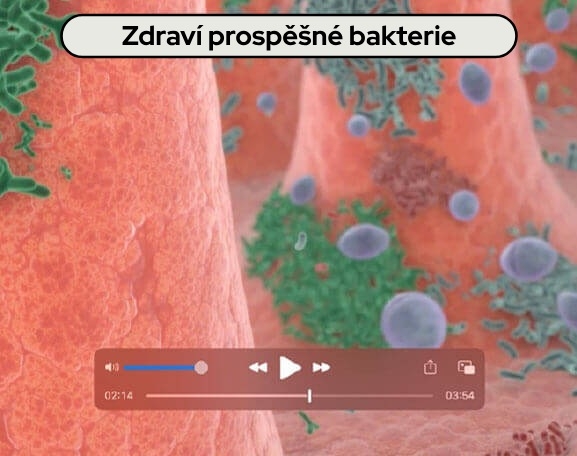 PRO PLAN® FortiFlora® Princip účinku