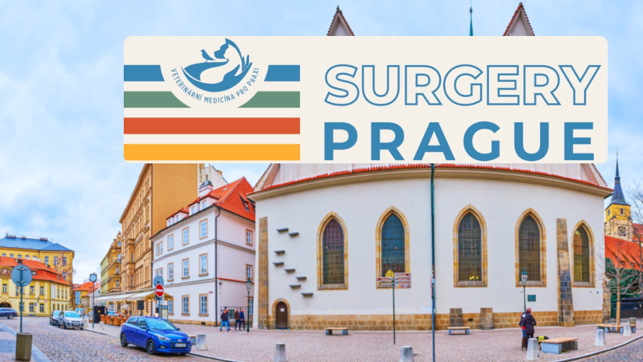 Veterinární Medicína pro praxi Praha