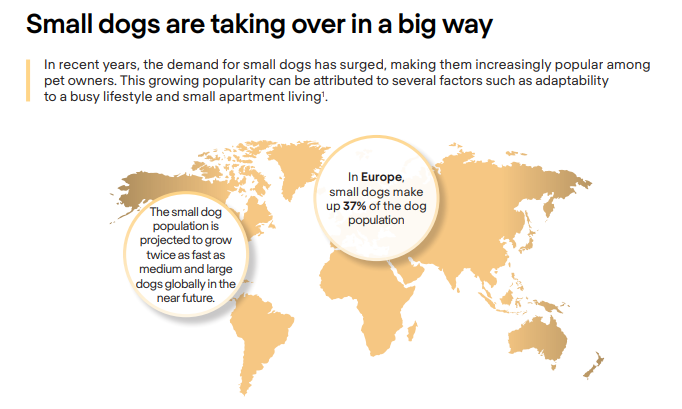 Zkušenosti majitelů psů malých plemen