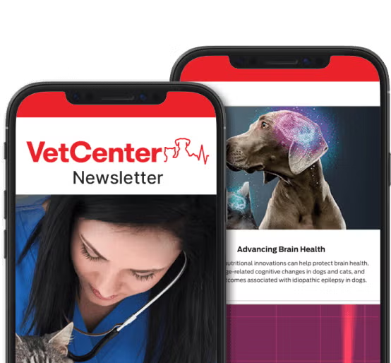 VetCenter Mock-up