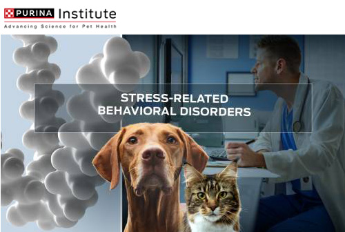 Poruchy chování související se stresem