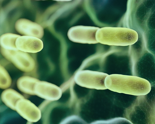 Výživa, zdraví střev a mikrobiom v klinickém řízení případů