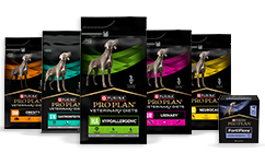 Canine Veterinární diety pro psy