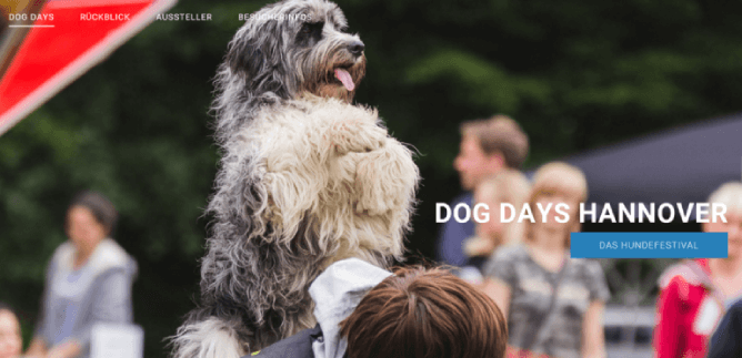 Dog Days Hanover image