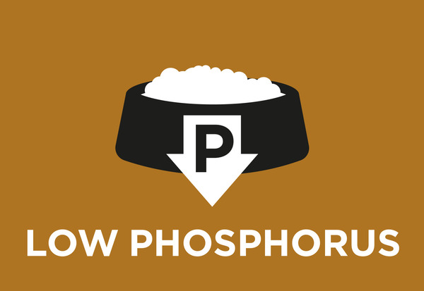 Nízká hladina fosforu