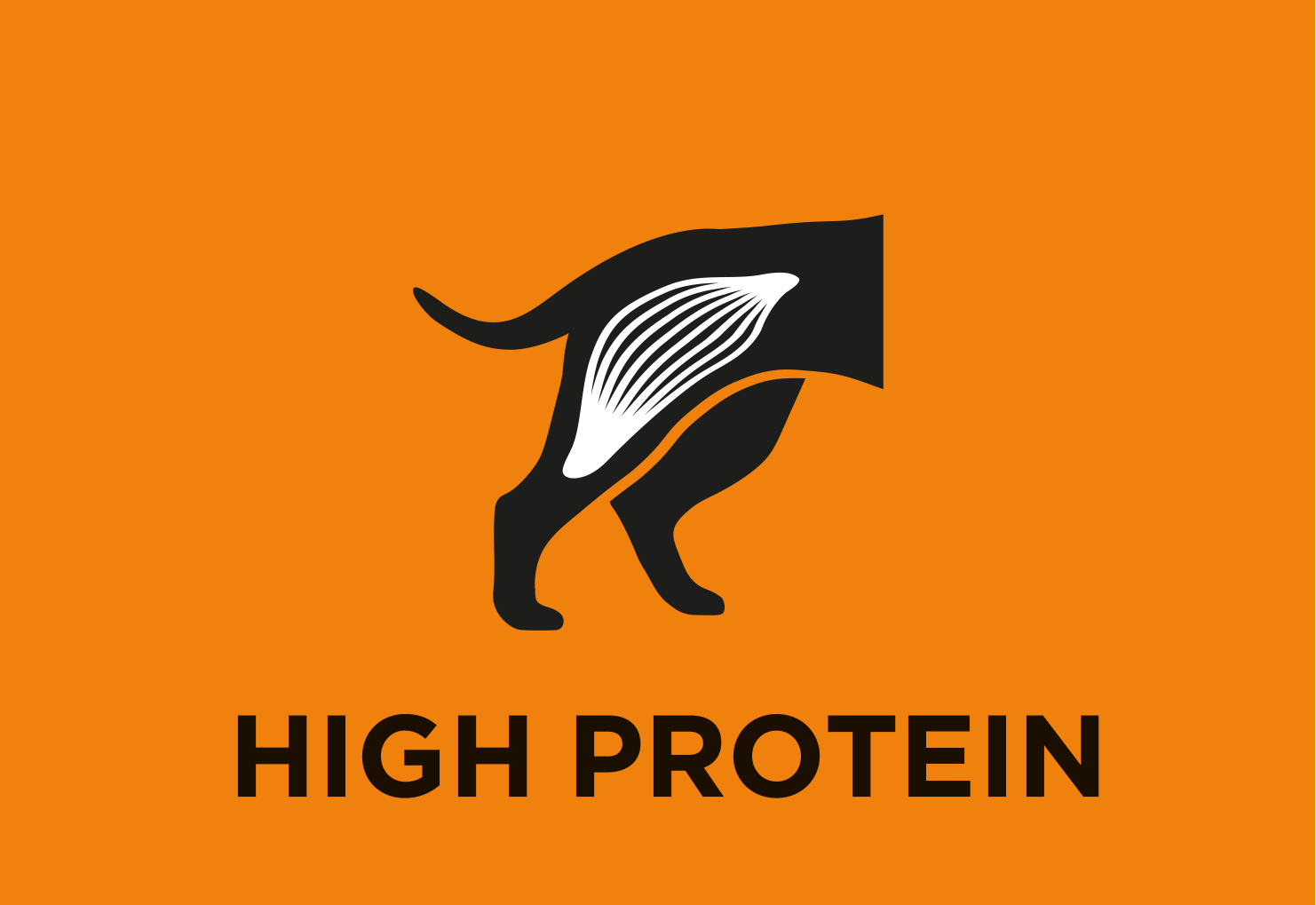 Vysoký obsah bílkovin