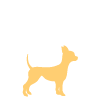 small dog