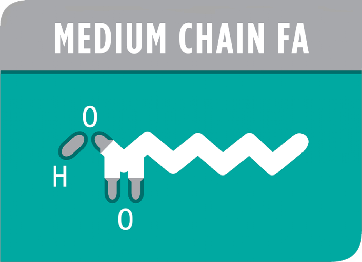 Medium Chain Fatty Acids