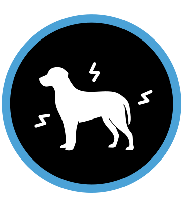 Prokazatelně pomáhá psům zvládat vnější stresové podněty