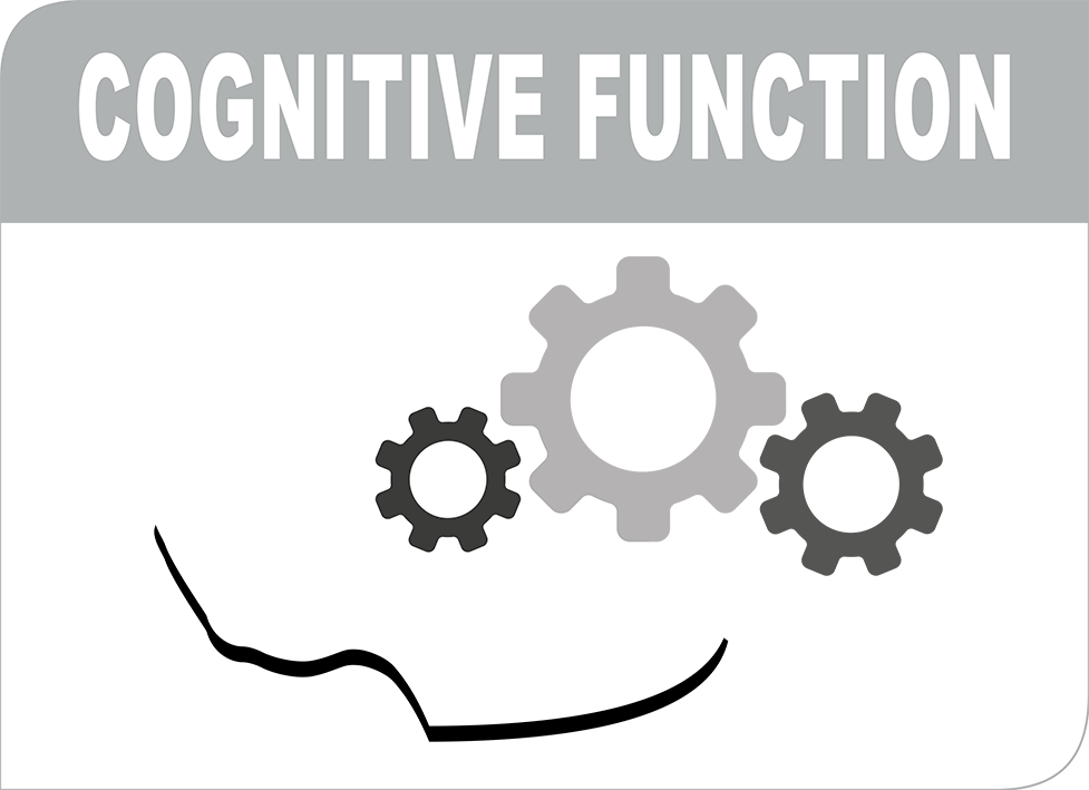 Kognitivní funkce