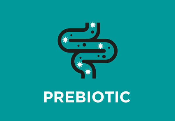 Přídavek prebiotika (inulin z čekanky)