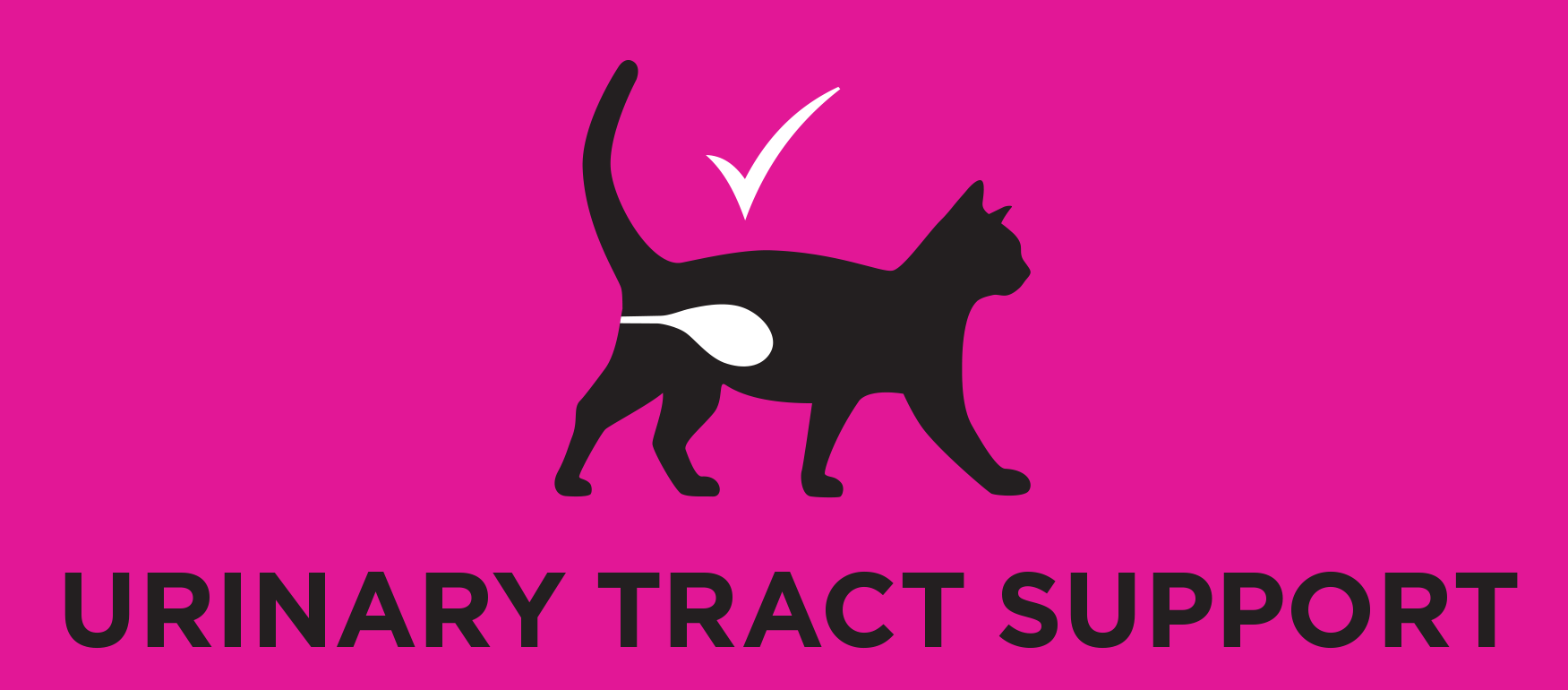 Podpora močových cest