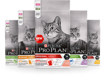 Feline Maintenance Nutrition