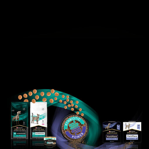 Zlepšete zdraví střev společným účinkem prebiotik a probiotik