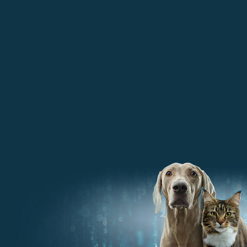 Veterinární péče s využitím nejnovějších technologií