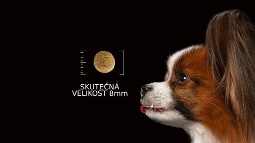 Velikost granulí je přizpůsobená psům malých plemen