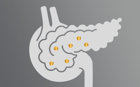 Zdraví Endokrinního Systému