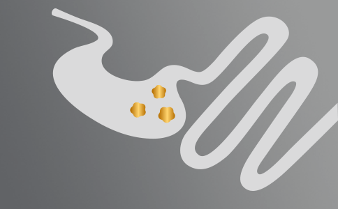 Zdraví trávicího traktu