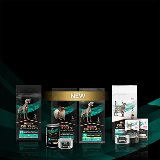 gastrointestinalni diety