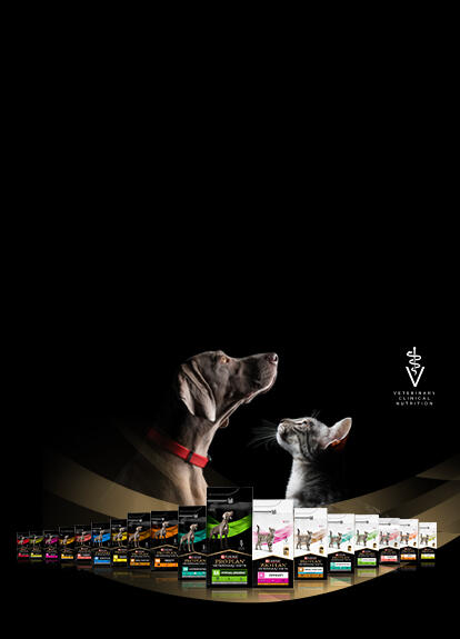 Novinky na obalech a v oblasti udržitelnosti 