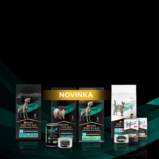 gastrointestinalni diety