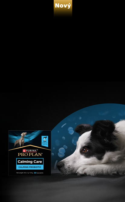 Hlavní banner Purina Pro Plan Calming Care
