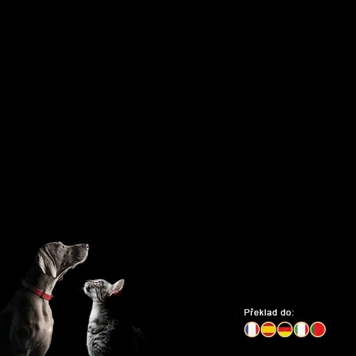 Calming Care Symposium - banner pro informace