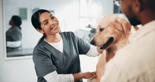 Vítáme mladé veterináře