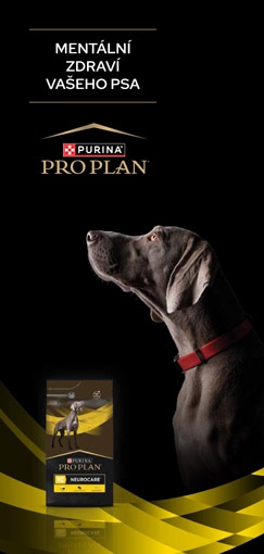 Material 14_ Mentální zdraví psa_brožura pro klienty-1.jpg Mentální zdraví psa - Leták pro klienty