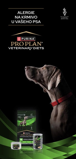Alergie na krmivo u psa - Leták pro klienty