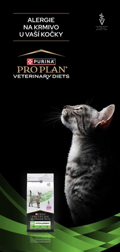 Alergie na krmivo u kočky - Leták pro klienty