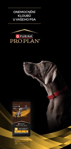 Material 30_Onemocnění kloubů u psa_brožura pro klienty-1.jpg Onemocnění kloubů u psa - Leták pro klienty